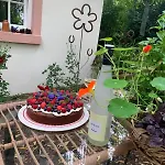Semesterbostad Rheinhessen-landhaus Tiefenthal (Bad Kreuznach)