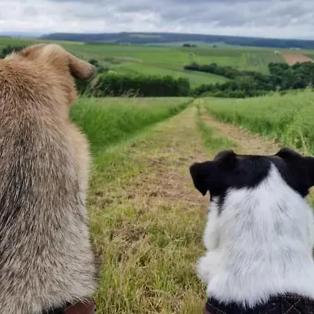 Rheinhessen-landhaus *