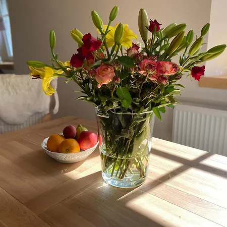 Holiday home Rheinhessen-landhaus *