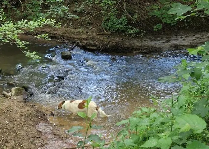 Rheinhessen-landhaus