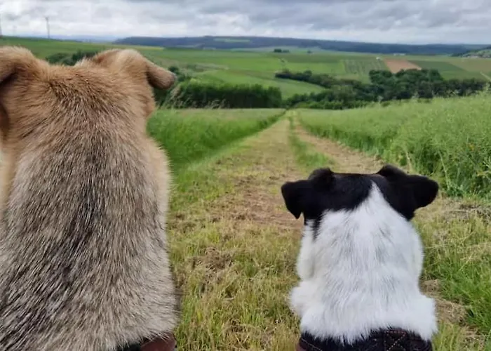 Rheinhessen-landhaus *