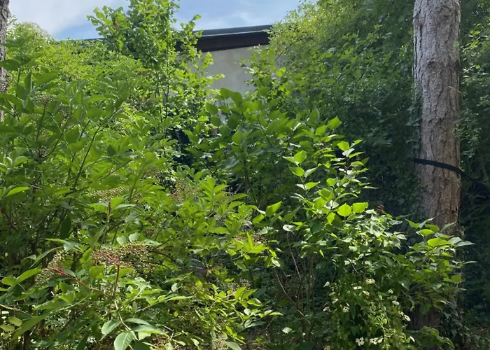 Rheinhessen-landhaus